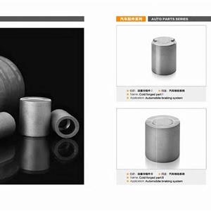 cold extrusion parts 4